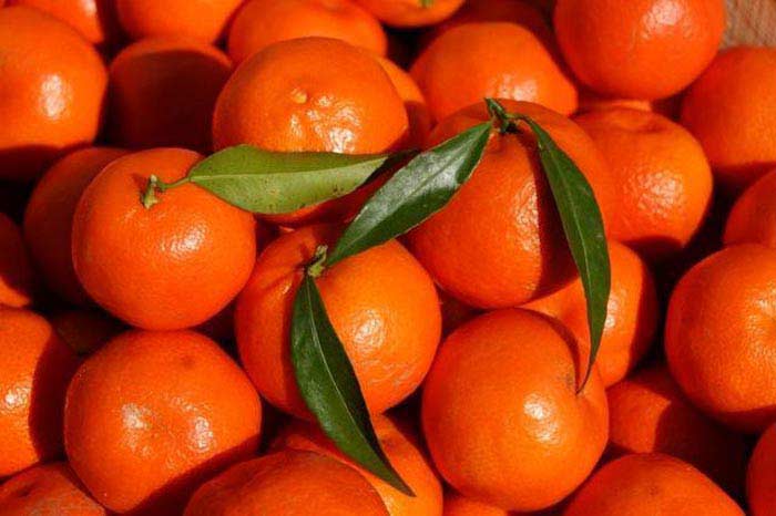 Clementine