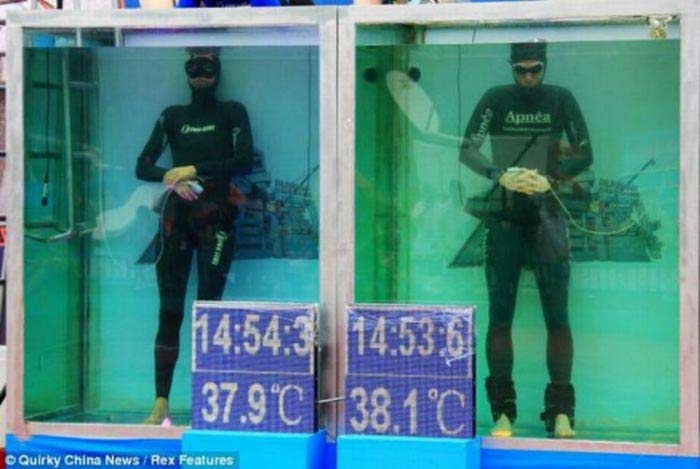 Ricardo Bahia, Brazilian freediver