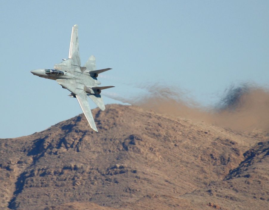 Grumman F-14