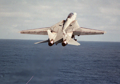 Grumman F-14D