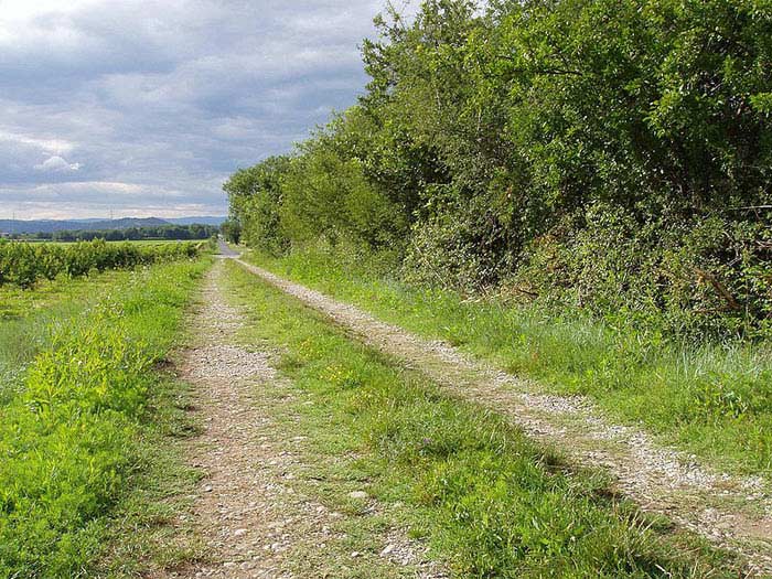 Via Agrippa