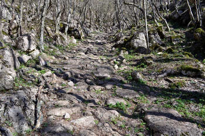 Roman road in Crimea
