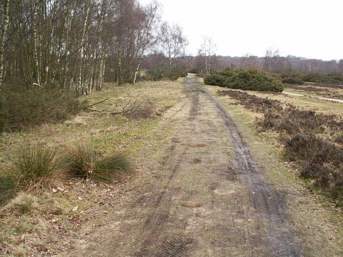 Icknield Street (Ryknild Street)