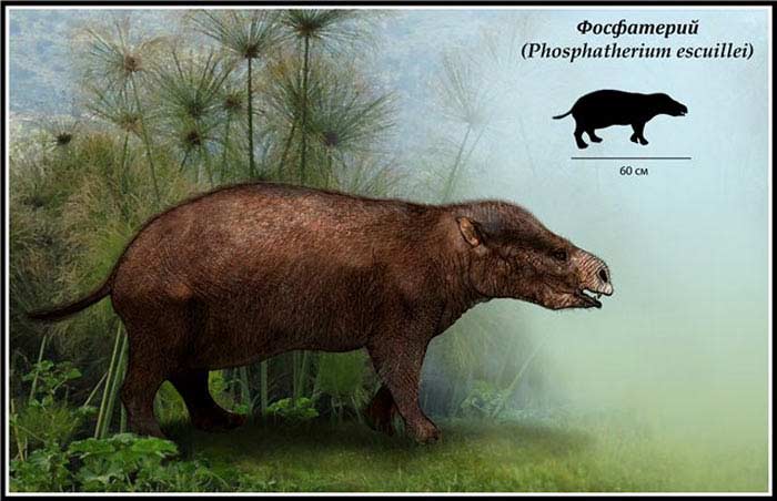 Phosphatherium Phosphatherium