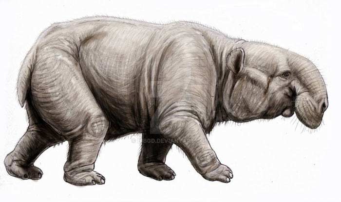 Barytherium Barytherium