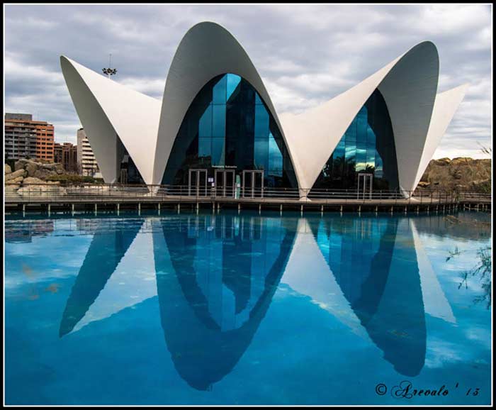 L'Oceanogràfic