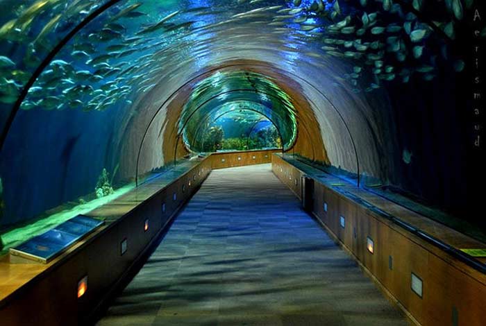 Turkuazoo Aquarium