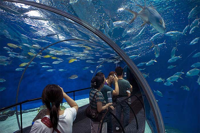Shanghai Ocean Aquarium