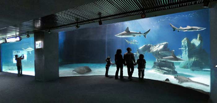 Aquarium of Genoa