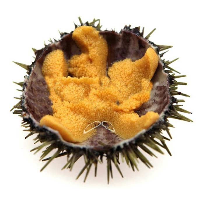 Sea urchin roe (uni)