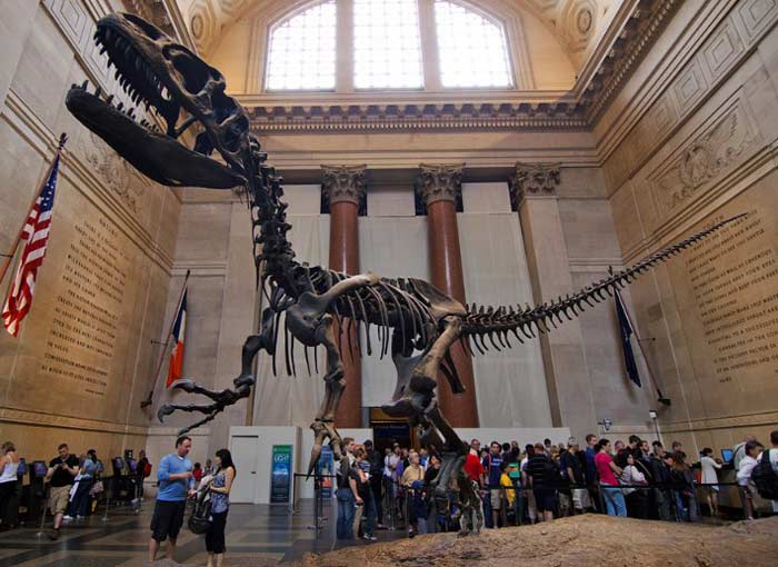 American Museum of Natural History