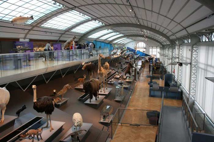 Royal Belgian Institute of Natural Sciences