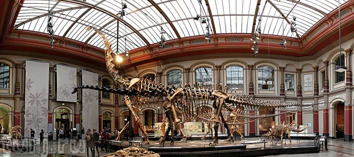 Museum of Natural History