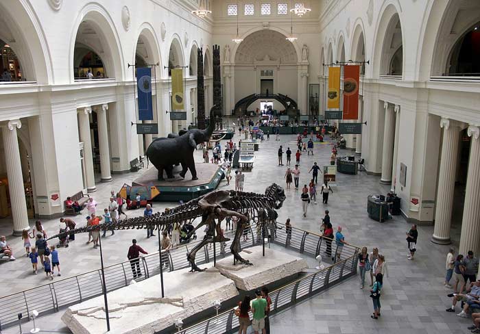 Field Museum of Natural History
