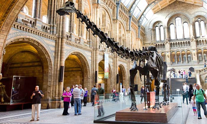 Natural History Museum