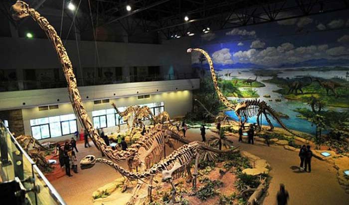 Zigong Dinosaur Museum