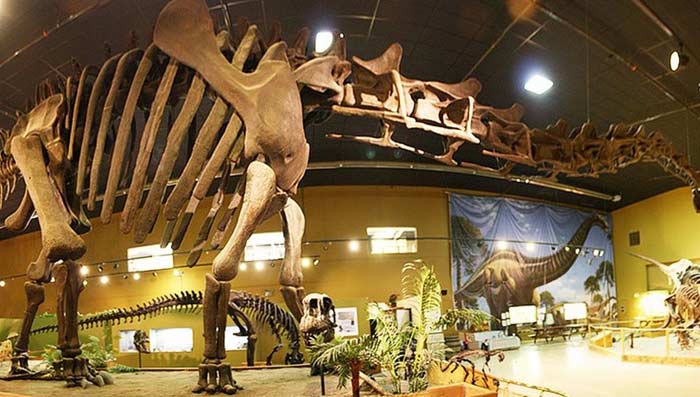 Wyoming Dinosaur Center
