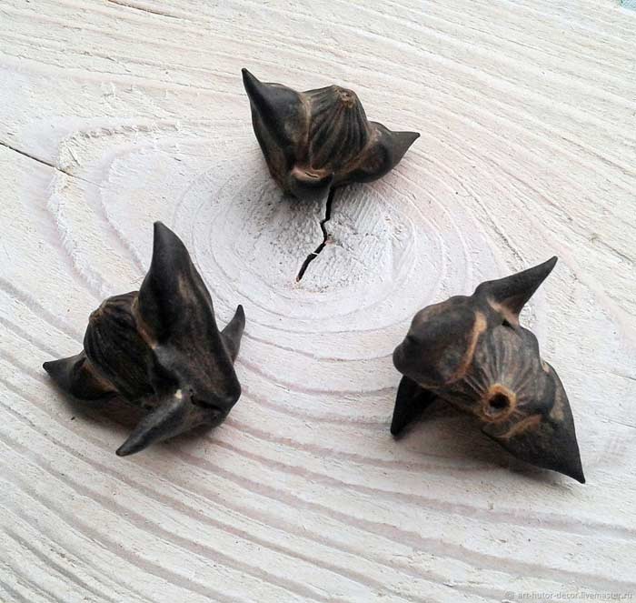 water caltrop
