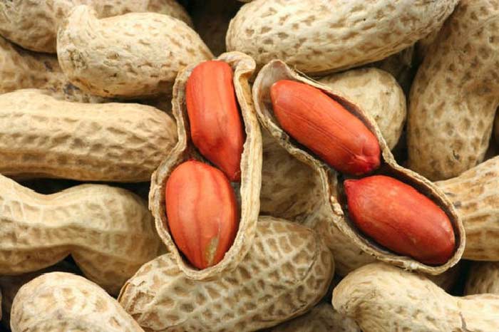 peanut